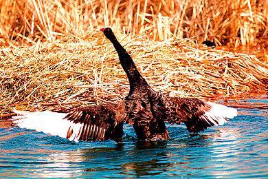 轻度肉鸽游戏《Die After Sunset》2月11日EA发售 支持简体中文